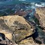 Montana de Oro State Park (SP)