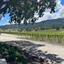 Santa Margarita Ranch