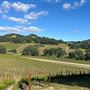 Halter Ranch