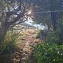 Acton Ranch