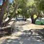Apollo Community Regional Park