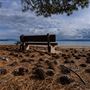 D.L. Bliss State Park (SP)