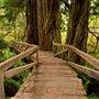 Prairie Creek Redwoods State Park (SP) within the Redwood National and State Parks