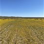 Fiix Ranch Movie Ranch