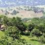 Mount Diablo State Park (SP)