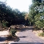 Mountain Cemetery