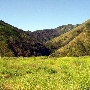 Mountain Property of Social Model Recovery System - Private Property