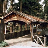 Redwood Village Bridge