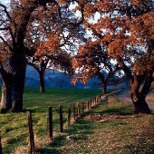 San Felipe Ranch Inc. / The Nature Conservancy California Program