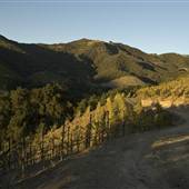 Rosenthal Malibu Vineyard