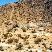 Stephens Mine