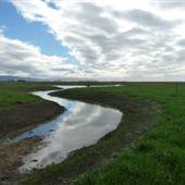 Arcata Bay