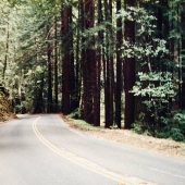 Highway 236 - Felton
