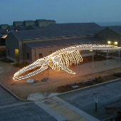 Seymour Marine Discovery Center at Long Marine Lab