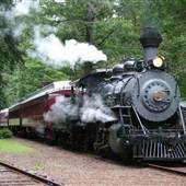Skunk Train - California Western Railroad