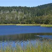 Trione-Annadel State Park (SP)