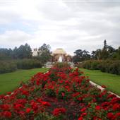 Exposition Park Rose Garden