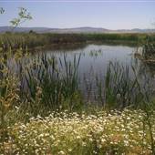 Ash Creek Wildlife Area