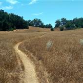 Santa Rosa Plateau Ecological Reserve