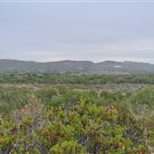 Burton Mesa Ecological Reserve