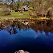 Cosumnes River Ranch