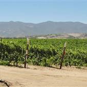 Joyce Winery (fka Ventana Vineyards)