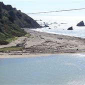 Navarro River Beach - Navarro River Redwoods State Park (SP)