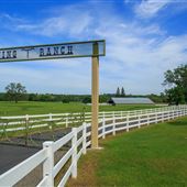 Flying T Ranch Red Bluff