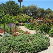 South Coast Botanic Garden