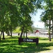 R Wild Horse Ranch