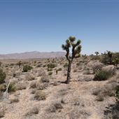 Apple Valley Mountain View