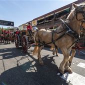 Old Sacramento State Historic Park (SHP)