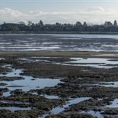 Robert W. Crown Memorial State Beach (SB) - East Bay Regional Park District