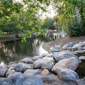 Irvine Regional Park
