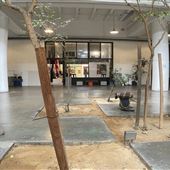 Life Is Studios