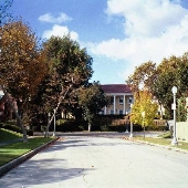 Hancock Park Neighborhood