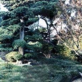 Hakone Japanese Estate and Gardens
