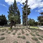 Balboa Sports Center