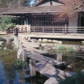 Japanese Friendship Tea Garden @ Kelley Park
