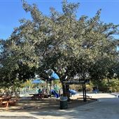 Ken Malloy Harbor Regional Park & Machado Lake