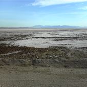 Bristol Dry Lake - Bureau of Land Management