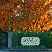 Dry Creek Vineyard