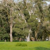 Ragle Ranch Regional Park