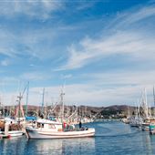 Spud Point Marina