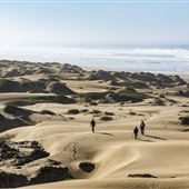 Oceano Dunes State Vehicular Recreation Area (SVRA) / Pismo State Beach (SB)