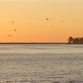 Capistrano Beach Park