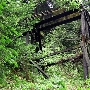 Roaring Camp Railroad