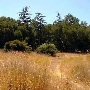 Rocky Oaks - National Park Service (NPS)