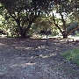 Rocky Oaks - National Park Service (NPS)