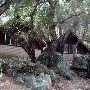 The Lawrence M. Daley Camp and Conference Center, Camp Gilmore, Camp Daley, & Wilderness